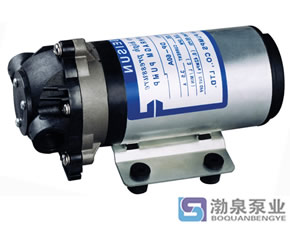 DP微型隔膜泵_微型直流高壓隔膜泵