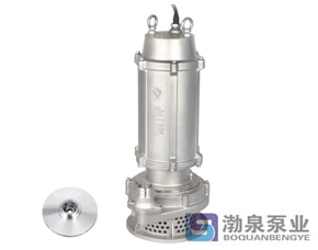 WQ( D)X-S 不銹鋼精密鑄造高揚程污水泵 (絲口出水)